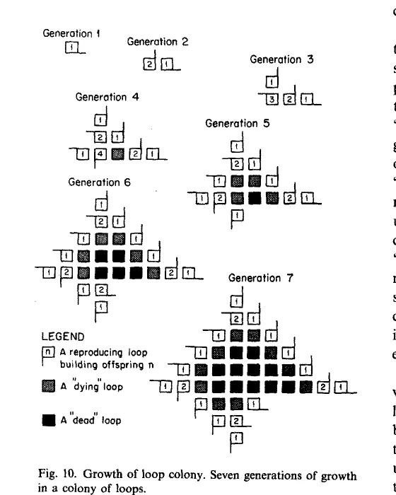 Primary-source scan of Figure 10 from Langton's Self-reproduction in cellular automata, showing seven generations of growth in a colony of loops with the printed caption visible.
