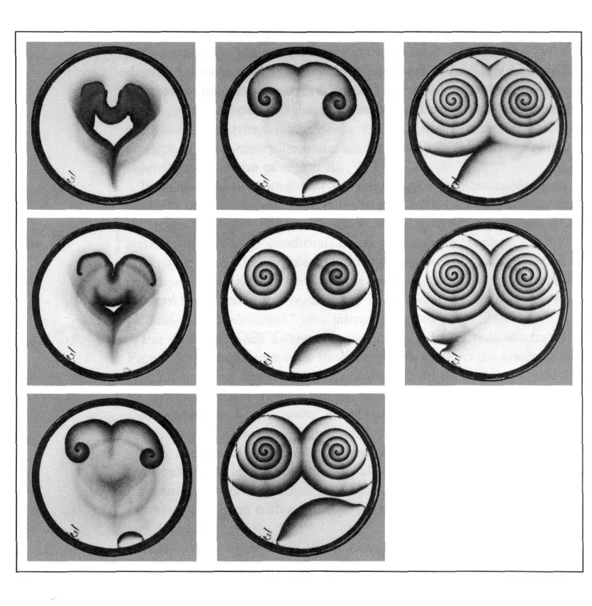 Primary-source scan of a Belousov-Zhabotinskii chemical scroll waves chapter-opener plate from Prigogine's From Being to Becoming.